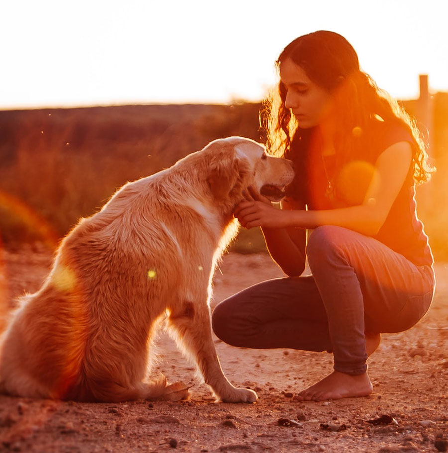 Dog Life Skills and Training